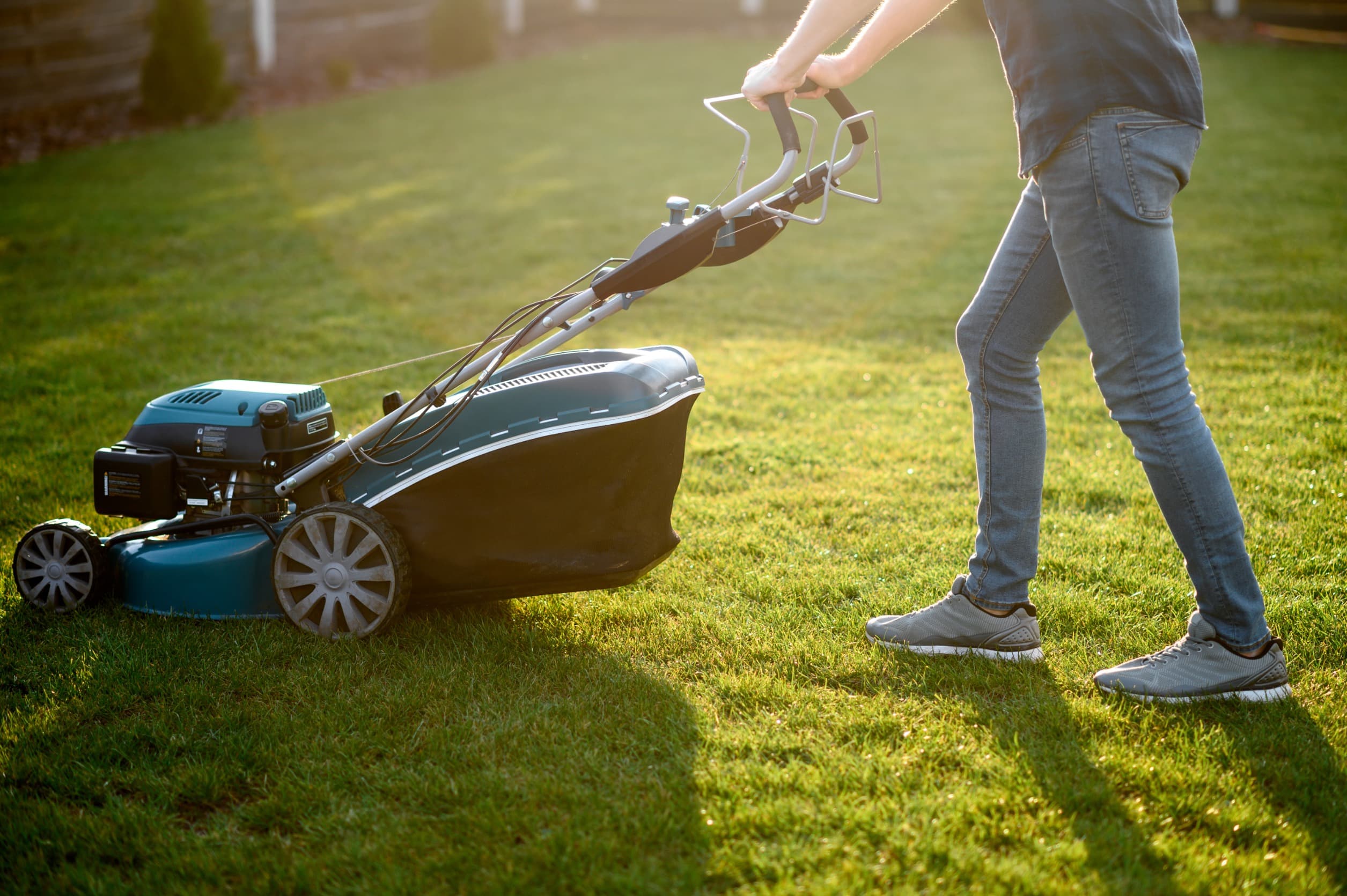 What’s the Difference Between an Arborist and Landscaper?