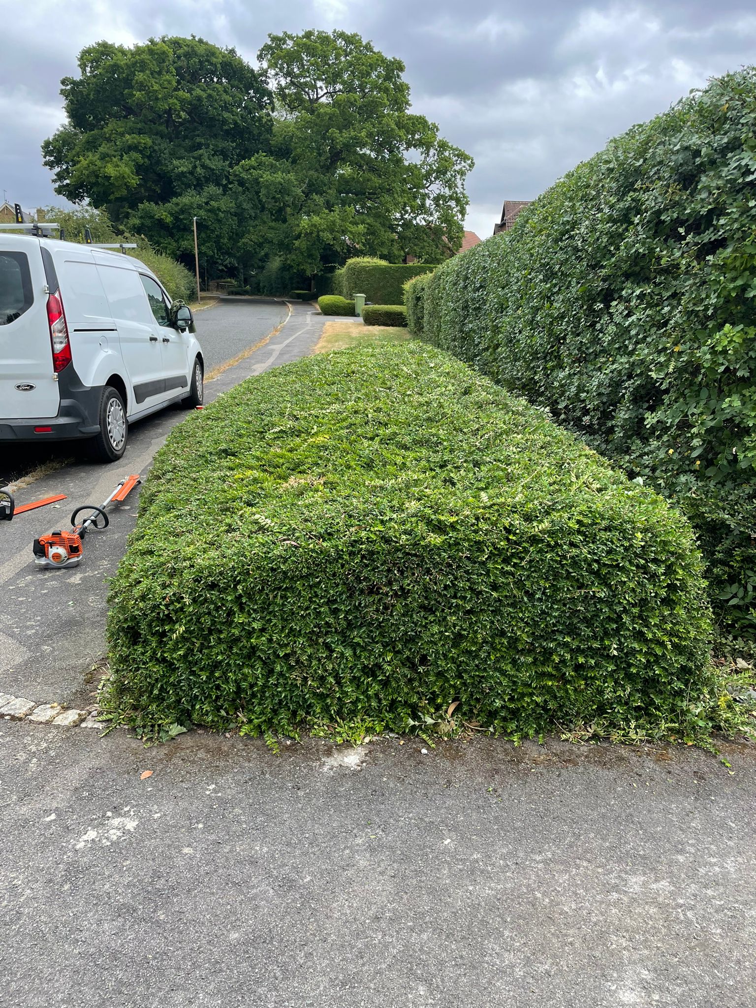 Home Legends | Hedge Cutting